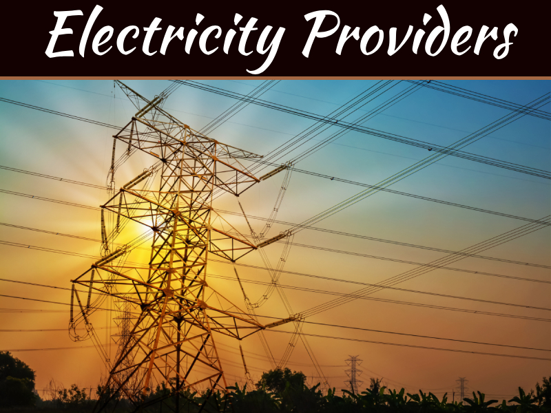 Electricity Providers
